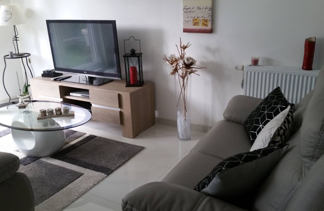 High standing "La Vénitienne" house in Colmar, 8 people