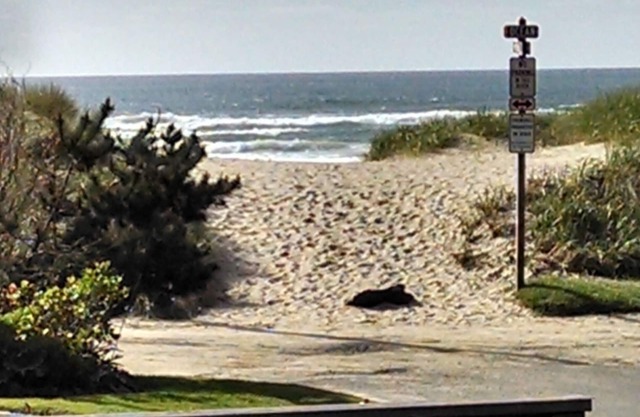 Historic Cannon Beach Home - 50 Steps From The Sand - West Presidential Streets