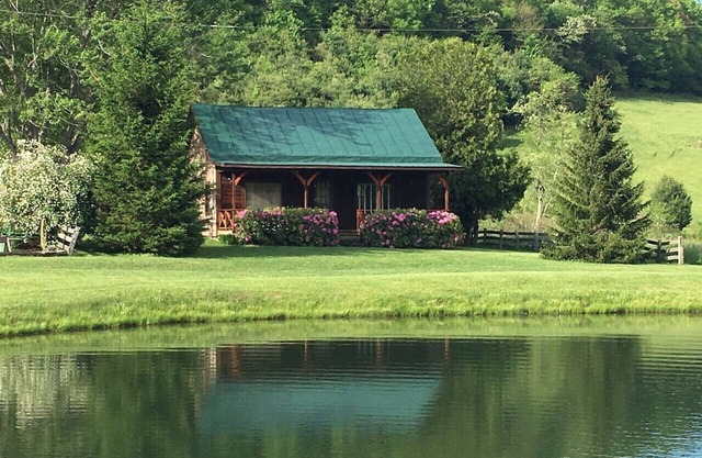 Hog Mt Retreat by Buffalo Mountain Getaway