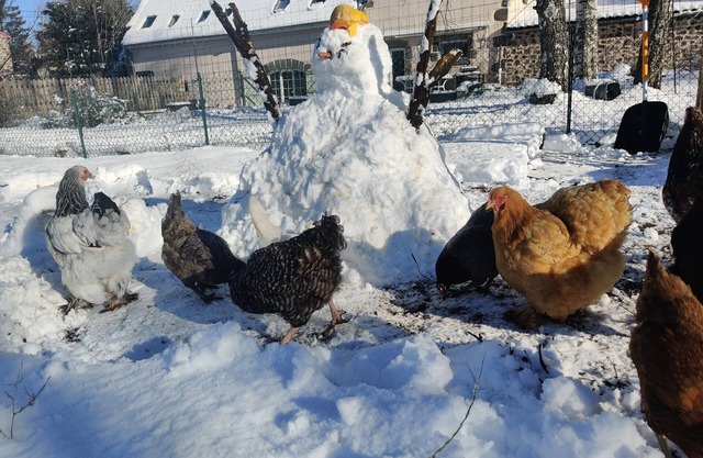 Holiday Apartment "Chez L'habitant Saint Nectaire" with Mountain View, Shared Terrace & Wi-Fi