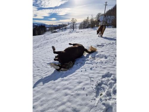 Holiday apartment in St Peter with balcony