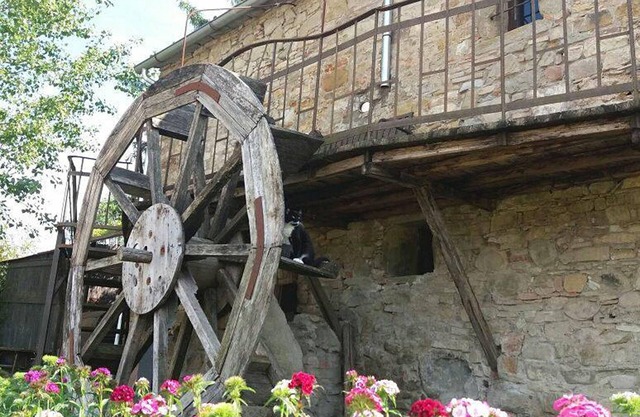 Holiday apartment Poppi for 1 - 2 persons - Holiday house