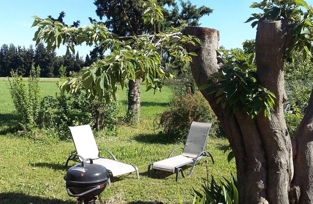 Holiday cottage in the countryside and in the quiet wooded area 10min Avignon
