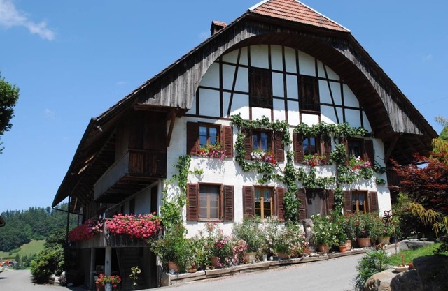 Holiday flat in the middle of nature