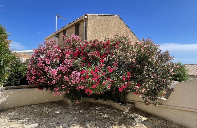 Holiday Home 'Casa Costella, Saint Pierre La Mer' with Sea View, Private Terrace and Private Garden