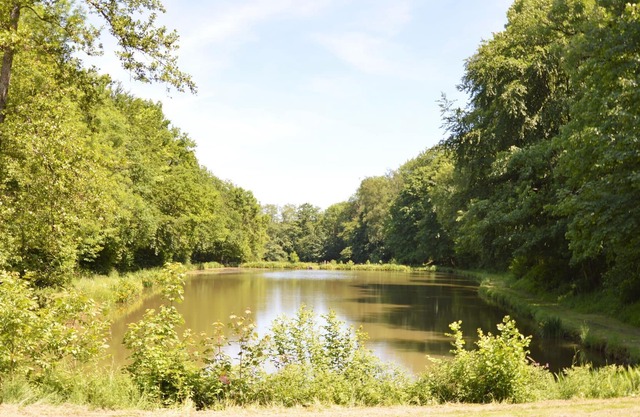 Holiday home in Rosee next to a lake and forest