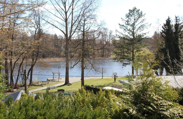 Holiday home on a south-facing wooded slope with great lake views