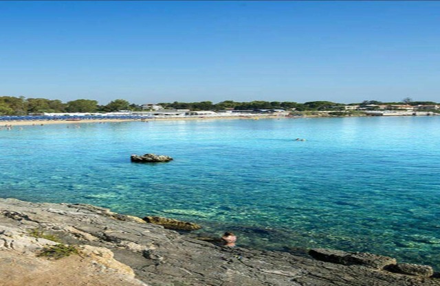 HOLIDAY HOME SYRACUSE