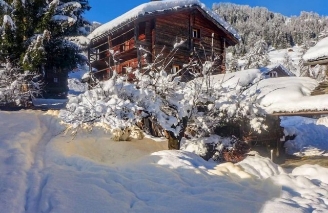 Holiday house Bruson for 1 - 7 persons with 3 bedrooms - Holiday home