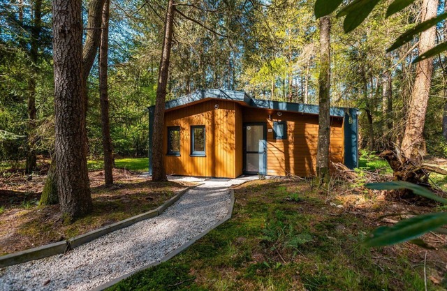 Holiday house for 6 persons approx. 45 qm in Ruinen, Drenthe