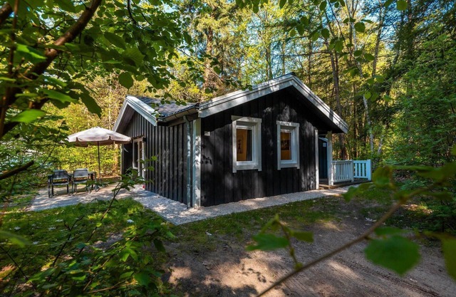 Holiday house Ruinen for 1 - 4 persons with 2 bedrooms - Holiday home