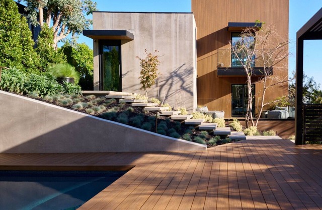 Hollyridge Mountain Dream