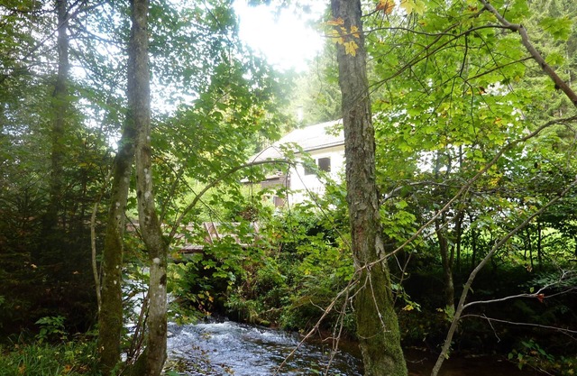 Home away from home - with a creek in the forest but near to the city