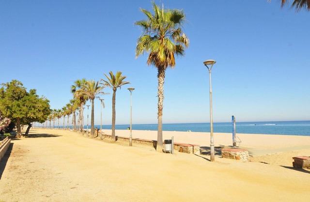 HomeHolidaysRentals Palm Beach - Costa Barcelon