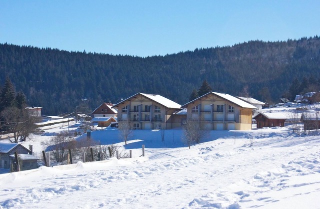 Homerez - Apartment in Xonrupt-Longemer