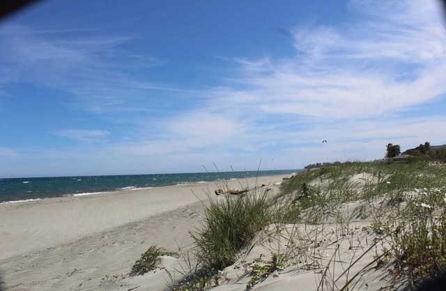 Homerez - Beautiful apartement for 4 ppl. with terrace at Cervione