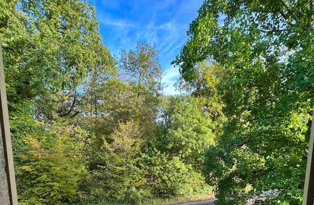 Homerez - Charming House in Brunoy with Private Garden