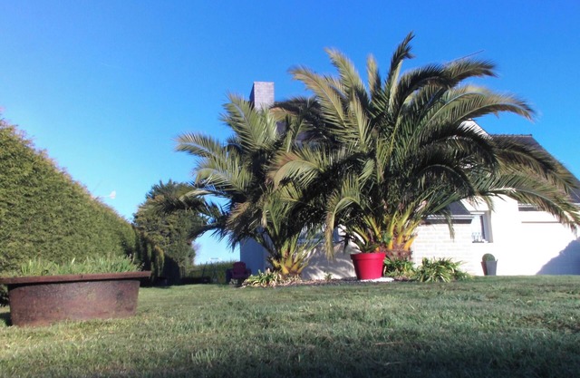 Homerez - Comfortable house in Trégomeur with garden and parking