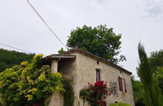 Homerez - House for 4 ppl. with swimming-pool, garden and terrace at Sauveterre