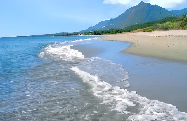 Homerez - House in Poggio-Mezzana