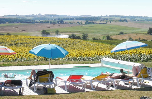 Homerez - Studio Pauilhac - Shared Pool