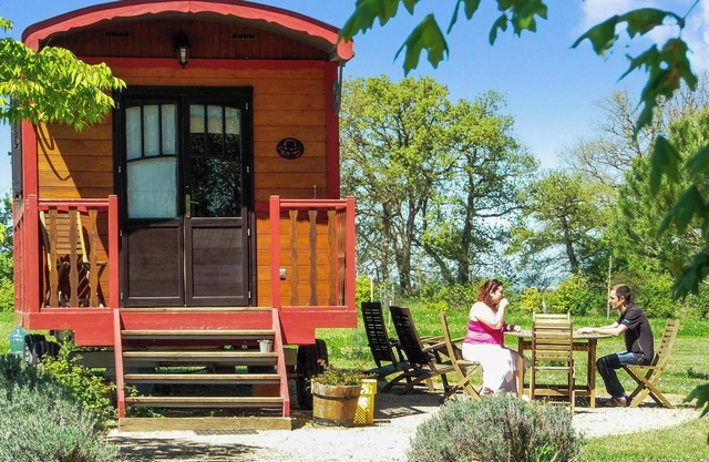 Homerez - Studio Pauilhac - Shared Pool