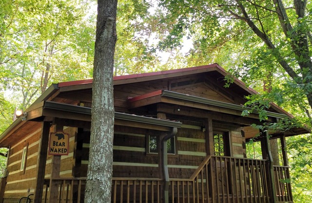 Honeymoon Cabin, Very Secluded, Very Romantic, Arcade, FREE Daily Bear Sightings