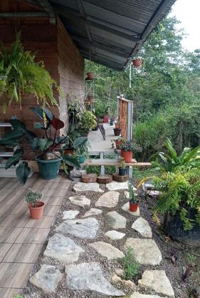 Hostal Seminia Lodge