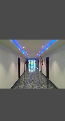 Hotel Blue Bird Nest
