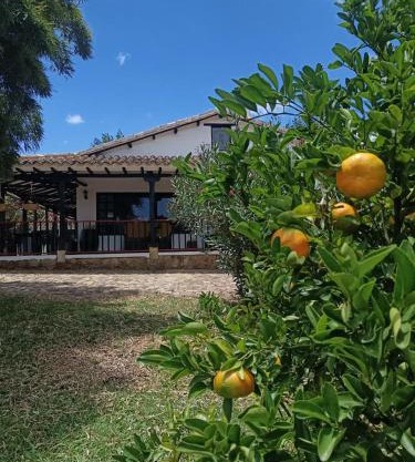 Hotel Estancia Villa Blanca