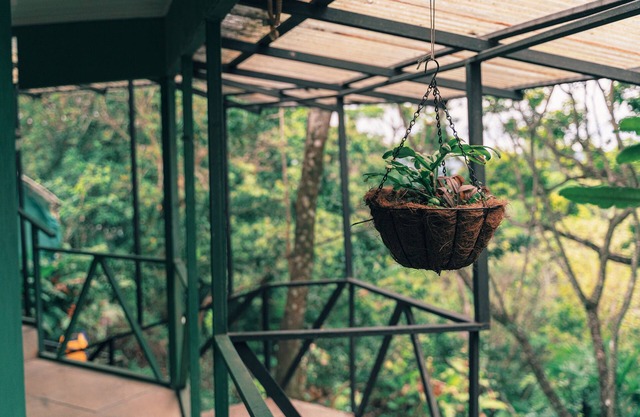 Hotel Jardines de Monteverde