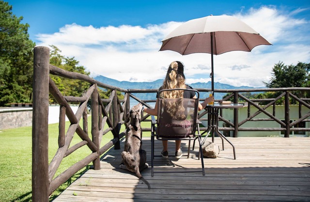 Hotel Los Olivos