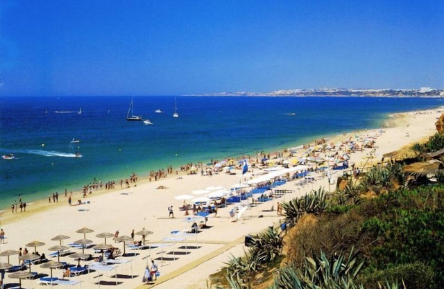 Hotel Pinhal do Sol