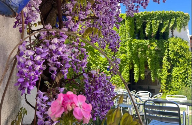 Hotel Rural las Cinco Ranas