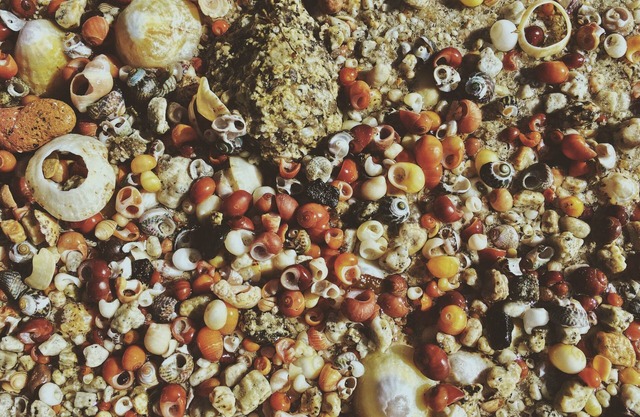 House/Villa - BRIGNOGAN PLAGESHouse with characterHouse with garden