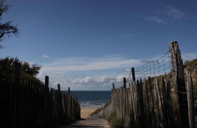 House in Saint Clement of whales away from the road and close to the most beautiful beaches on the island of Re accessible by scenic bike paths.