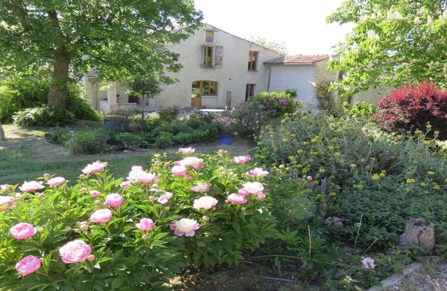 House in Forcalquier, Pleine Nature, view of the Alps, ideal for friends and family