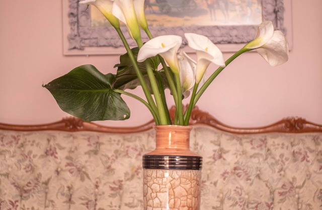 House Newstalgia in Gastouri Village, Corfu Greece