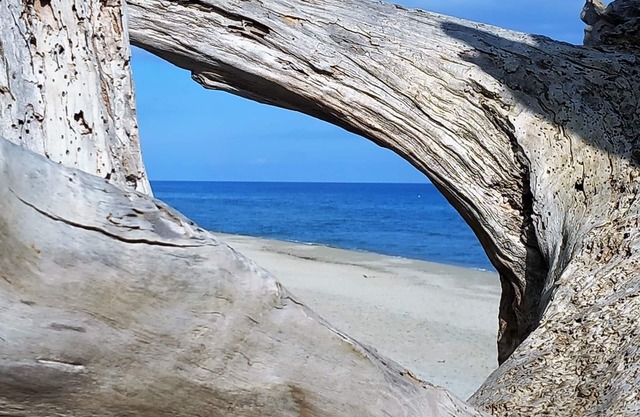 House of 71M2 Any comfort T3, large quiet terrace 500m from the beach