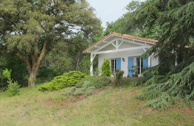 House on airial on the edge of forest near ocean