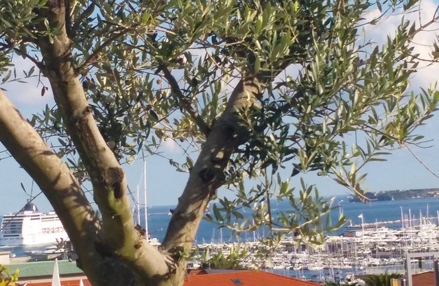 HOUSE PALMYRA LA SPEZIA NEAR CINQUE TERRE CODE CITRA 011015-LT-1377