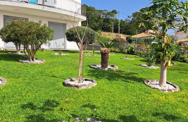 House/Villa - Santa Cruz