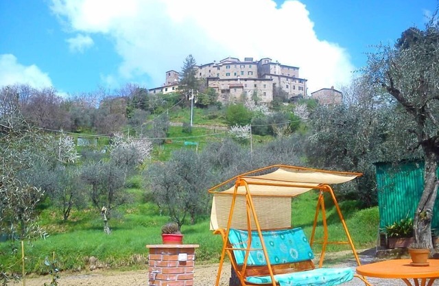 House with garden with olive trees