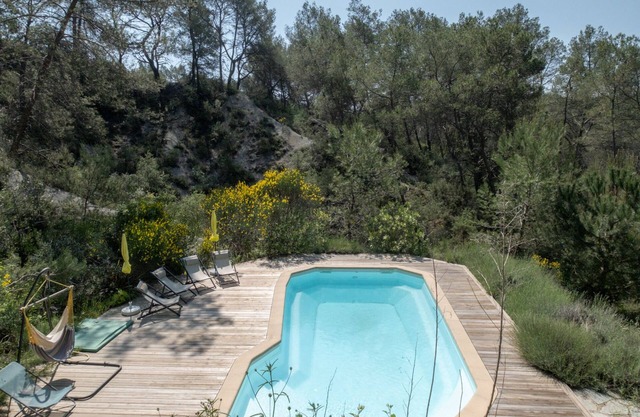 House with panoramic view of the forest