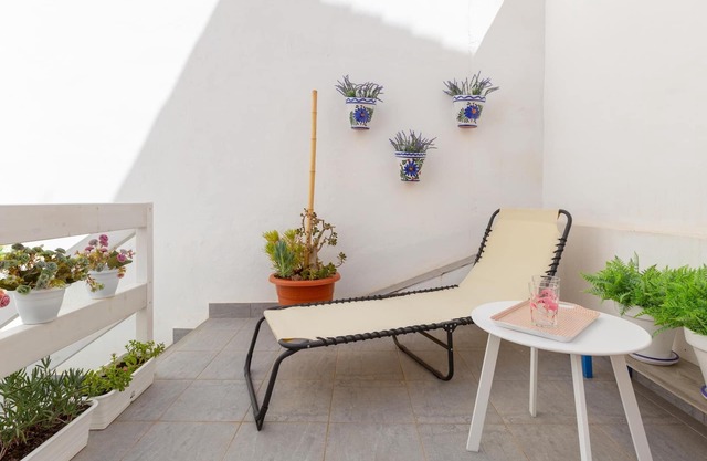 House with patio and terrace next to the center of Malaga