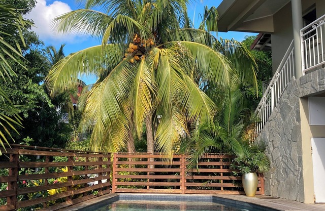 House with swimming pool with sea view in a garden with trees in Anses d'Arlet