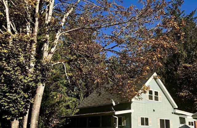 House - Wooded Home Near Olympic National Park