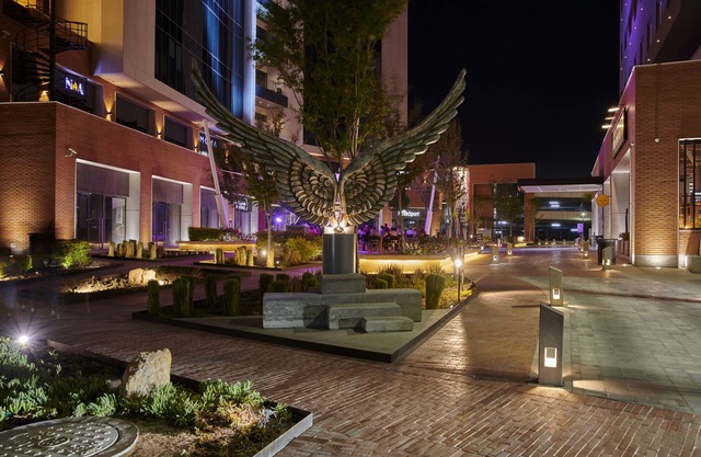 ibis Torreon