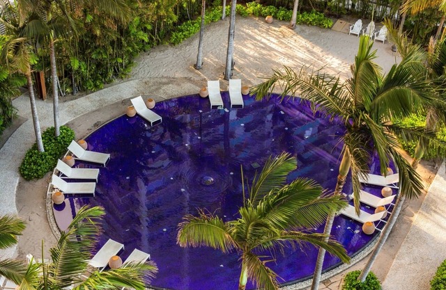 Ideal Mix of Comfort and Value! Oceanfront, Outdoor Swimming Pool!