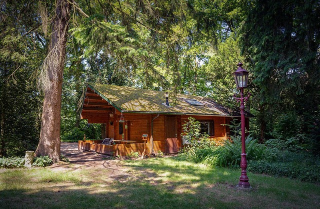 Idyllisch Natuurhuisje aan Duinrand, hondvriendelijk